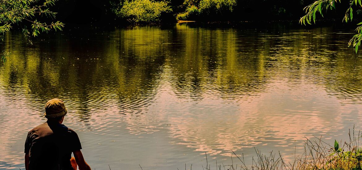 Kärntens Grüne unwillig, eine Lösung für Fischer zu finden