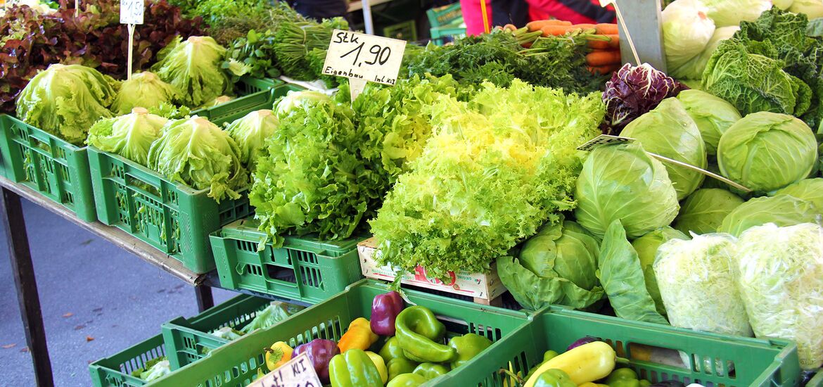 Landwirtschaftsbericht 2015 beschönigt die dramatische Lage der Bauern in Kärnten!