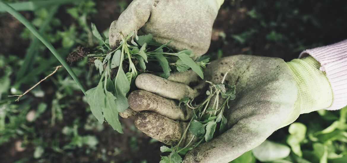 Umweltschutz mit Hausverstand geht vor Klimahysterie
