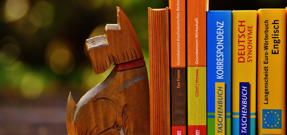 Wir wollen eine österreichische Auslandsschule in Slowenien!