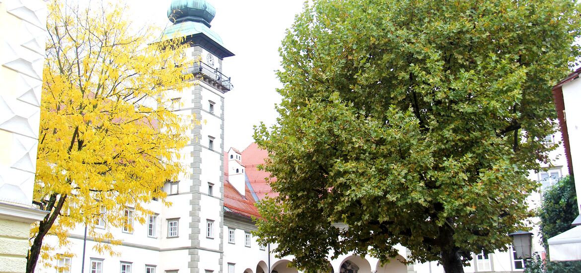 Kärntner Landesverfassung: Slowenen-Protest lässt tief blicken!