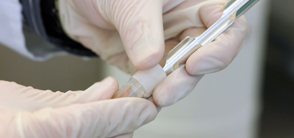 Corona-Virus: Landeverbot für Flüge aus China prüfen