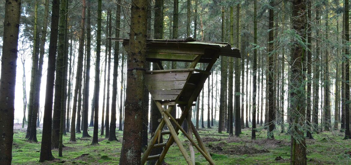 Modernstes Jagdgesetz Österreichs im Konsens beschlossen